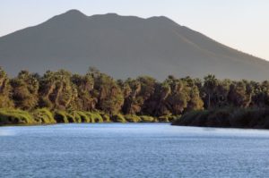 Lagune de San Ignacio - Xplore Mexique