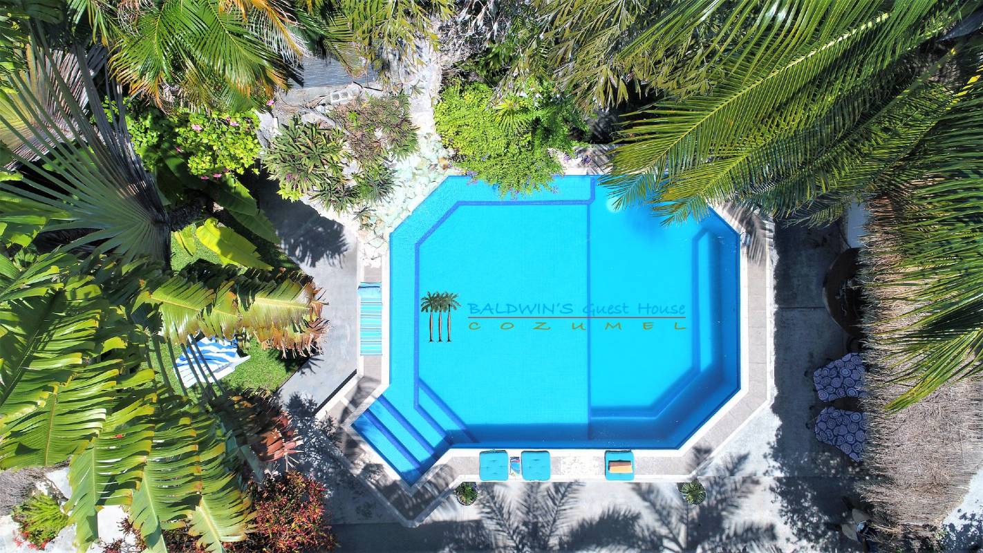 Baldwin's guesthouse piscine Xplore mexique