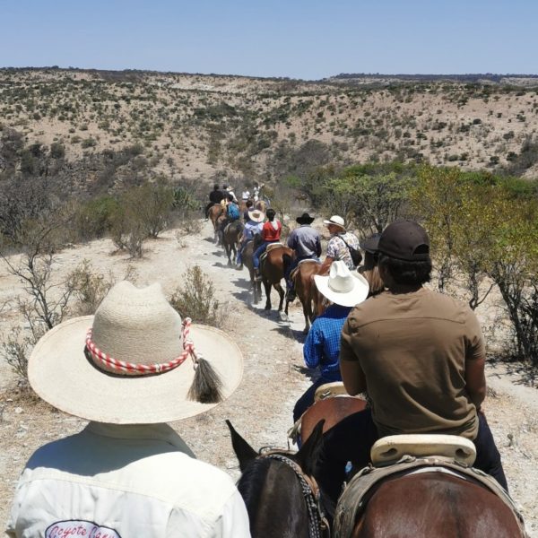 Balade à cheval San Miguel de Allende