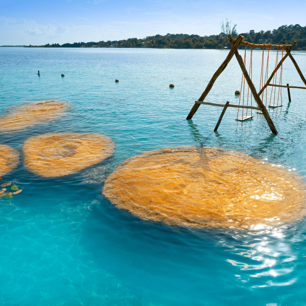 Stromatolites de Bacalar